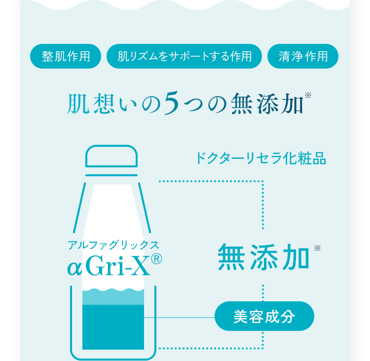 整肌作用 肌リズムをサポートする作用 清浄作用 肌想いの5つの無添加