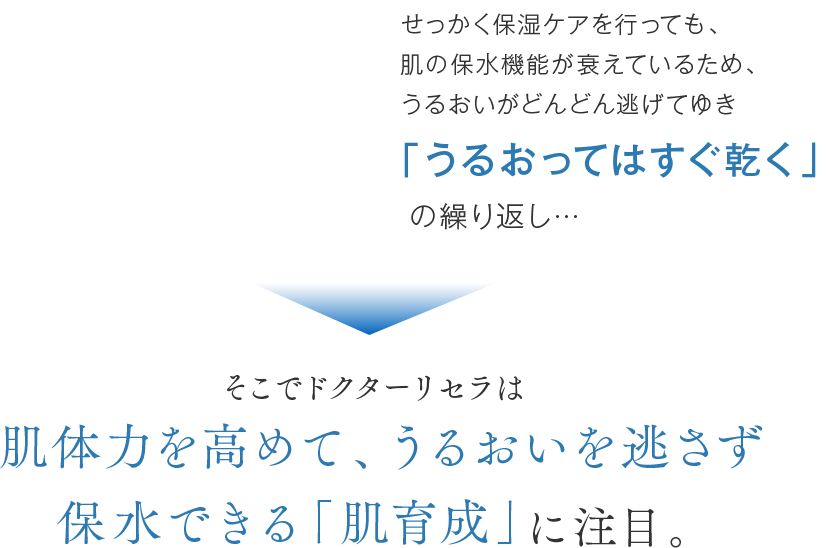 肌体力を高めて、うるおいを逃さず保水できる「肌育成」に注目