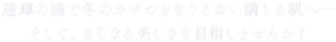 透輝の滴で冬のカサつきをうるおい満ちる肌へ―そして、さらなる美しさを目指しませんか？
